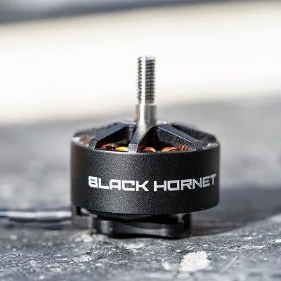 Мотор Foxeer Black Hornet 2812-900KV