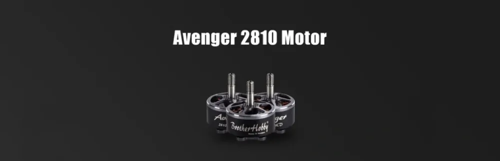 Мотор Avenger 2810
