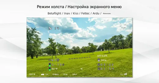 Цифровой HD-комплект Walksnail Avatar HD Mini 1S Lite Kit