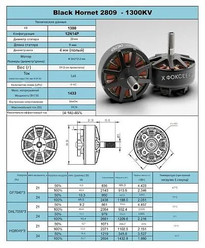 Мотор Foxeer Black Hornet 2809-1300KV