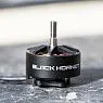 Мотор Foxeer Black Hornet 2812-900KV