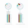 Комплект кабелей для цифрового VTX (6-pin male, 5 шт. + female 5 шт.)
