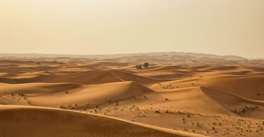 Цифровые FPV-очки Walksnail Avatar HD Goggles L